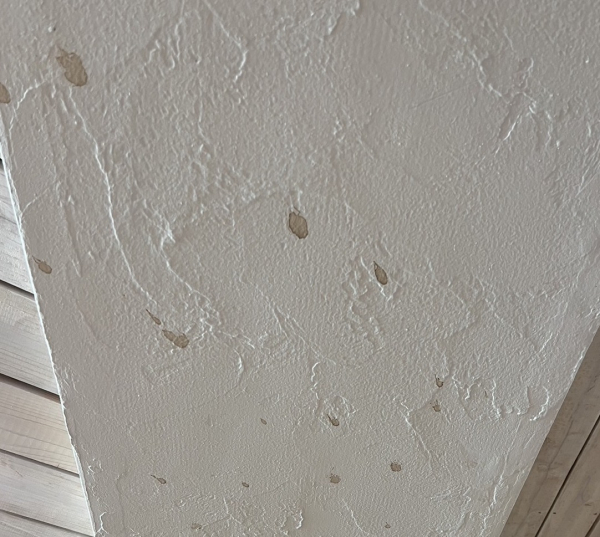 漆喰やモルタル佐官仕上げ壁天井の汚れ落とし
