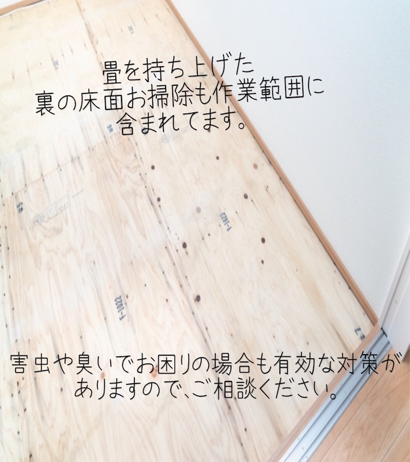 畳のバキューム＆スチーム除菌